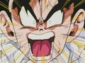 Dbz114-18