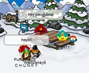 Polo on Snowmobile