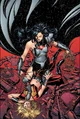 Donna Troy 005