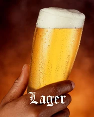 Lager Beer