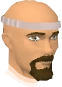 Sir Ren Itchood chathead