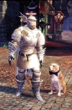 Knothole Knight Armour