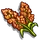 Red Sorghum-icon