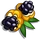 Wombat Berry-icon