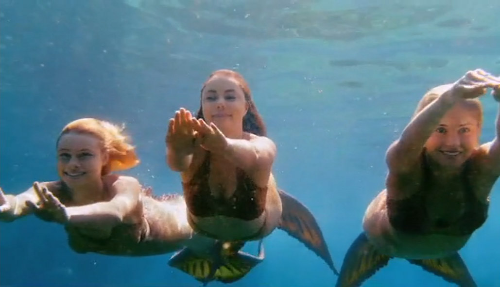 Mako mermaids cast.  Sereias de mako, Mako, Fotos