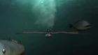 RoB S01E01 (30)