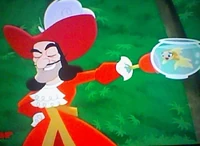 Plunger-Hook