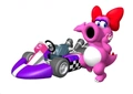 Birdo kart