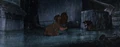 Lady-tramp-disneyscreencaps com-7553.jpg