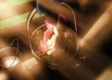Foal applebloom