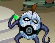 Chaselon bb