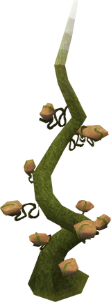 Vine ladder