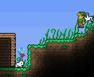 Bye bunny