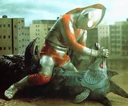Jack vs. Muruchi