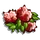 Red Australian Cotton-icon