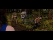 Seth & Leah bd2