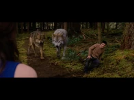 Seth & Leah bd2
