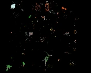 Minimap Floor 3