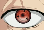NFolge007