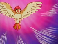 Ash Pidgeotto Whirlwind