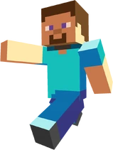 Steve
