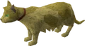 HRH Hrafn.png