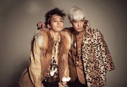 GDTOP10