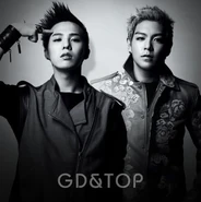 GDTOP11