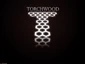 Torchwood logo