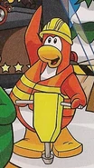 Rory Cameo