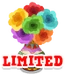 Limited mexico