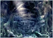 Evil-Forest-Sealed-FFIX