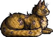 Lion's Roar.elder
