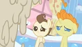 Pound & Pumpkin Cake what happened S2E13.png