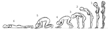 Proskynesis