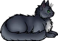 Duskwater.elder