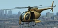 Buzzard amarillo.jpg