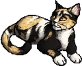 Dappletail.star