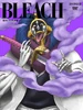 Bleach Vol. 48 Cover
