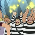 New Buggy Pirates