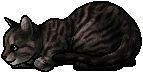 Oddfoot.kit