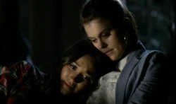 Paily 309