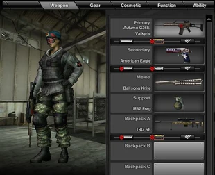 Equipment Display Leak