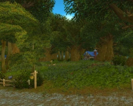 Elwynn Forest