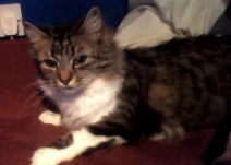 Wilma