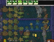 Yeti2 DS