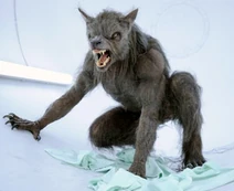 WerewolfWolfForm