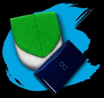 DSPouch