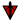 Icon TR