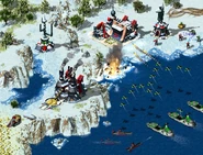 RA2beta-carriers